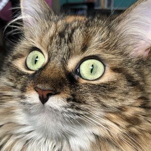 Meet your Posher, Kelsey